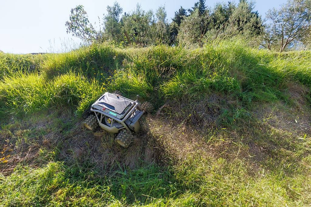 Mowzilla im überwucherten Wildwuchs-Gelände